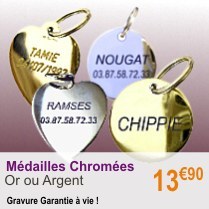 fantaisie